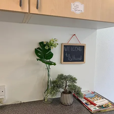 5minute Walk To Lego House-best Location-garden On Site N9 Billund